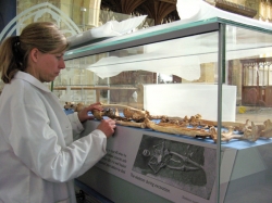 Malin preparing exhibiton at Barton